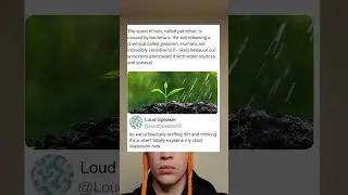 Why We Love The Smell Of Rain Explained With A Plant Meme