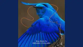 Blue Birds Fly