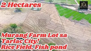 MIKKO HOMESTATES EPISODE 33 | Murang Farm, Agriculture lot sa tarlac city | 2 Hectares