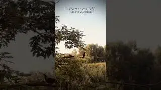 Tokhe keeyn maa smjha dharr 😔💔 #sindhi #aesthetic #songs #video #status #reels #shortsvideo