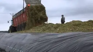 Прицеп разбрасыватель Брошар разгрузка силоса на яме