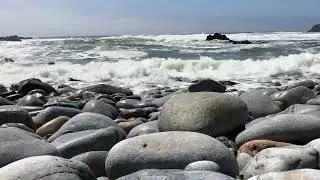 Gray Whale Cove State Beach