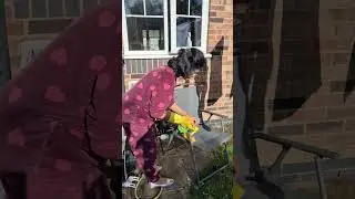 Window cleaning#cleaning #cleaningmotivation #lovecleaning