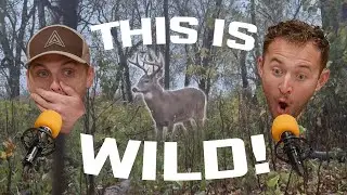 A Hunt Like You've NEVER SEEN!! - SELF-FILMED Bow Footage