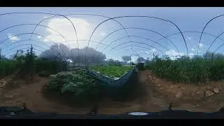 Brandee Namibia 360&ordm;