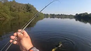 P&ecirc;che du carnassier ( Club de p&ecirc;che du lac de Bambois)