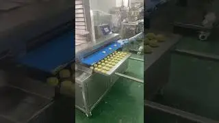 High capacity cookies forming production line#automatic cookies panning system machine #cookies