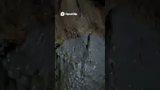 Exploring the underwater cave in Palawan was amazing! I recommend going to see it!