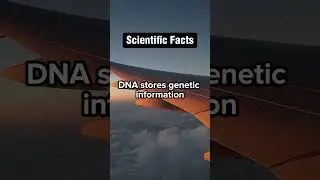 DNA's Genetic Code #DNA #Genetics #NucleotideBases #Biology #GeneticInformation