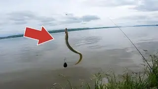 Fishing a TOXIC RIVER for Big Fish! (MULTI-SPECIES FISHING)