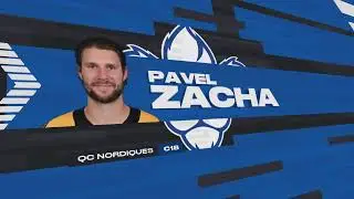 Nhl Nordiques Champs 19 Gm 10- ,Pack Opening etc