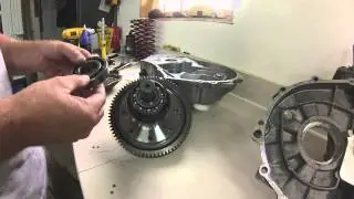 trans internals