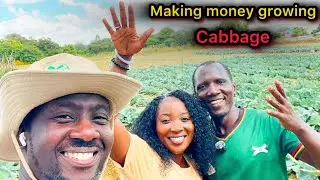 Making money off cabbage farming in Lusaka Zambia - Phingiwe the nurse Farmer