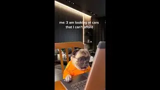 drivers meme