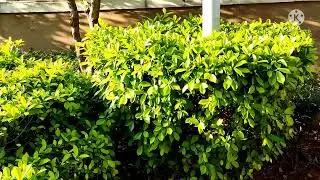 High Grounds  prestige Trade Tower  Palace Road Bengaluru Karnataka Very Nice View 2022