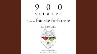 Chapter 1.3 - 900 sitater fra store franske forfattere fra 1800-tallet