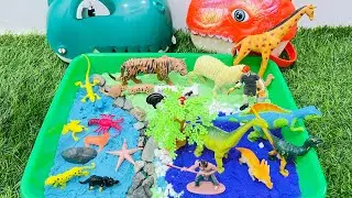Unboxing Dinosaur toys collection, ASMR video T-rex triceratop stegosaur #pterosaurus #dinosaur 