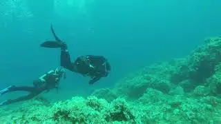 Weekend fun dives !