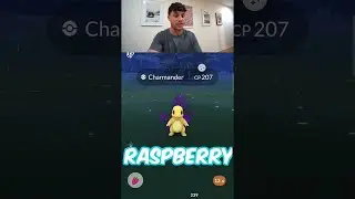 The greatest shiny Pok&eacute;mon ever released