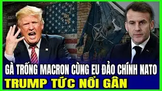 G&agrave; Trống Macron C&ugrave;ng EU Đảo Ch&iacute;nh NATO: Trump Tức Nổi G&acirc;n | Luận Đ&agrave;m Quốc Tế