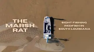 Low Tide Sight Fishing Redfish in South Louisiana | A Zook Original
