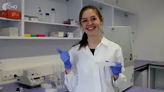 How to use EchoLUTION Cell Culture RNA Kit