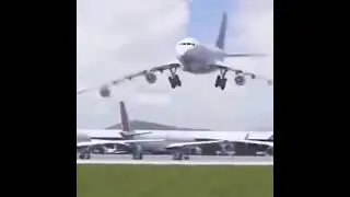 Bird vs Plane