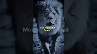 Sigma Rule 🔥 focus on money goal and respect 🔥#motivation #shorts #motivationalquotes