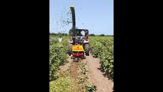 Cotton Shredder (कपास काटने की स्पेशल मशीन...डीज़ल भी कम...और काम भी ज्यादा)