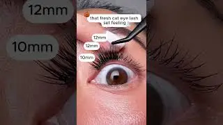 The fresh cat eye lash map for halloween 😻🐾