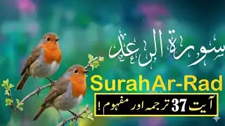 surah ar ra'd ayat 37 translation | Qur&rsquo;an | Hadith | Facts