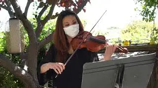 Corelli Strings play a beautiful classical piece