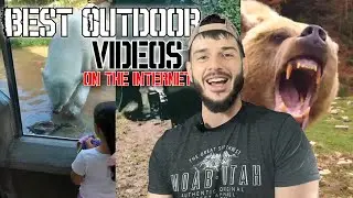 Most INSANE Wildlife And Hunting Videos I PT 5
