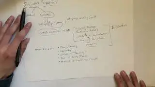 POLITICAL DIVISION EXPLAINED: Politics, Ideology and Self-Bias (Collective Free Will Part 1)