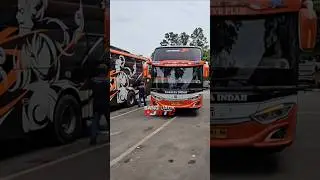ROSALIA INDAH PENUMPANGNYA SETIA ❗️🤔❓️ #busindonesia