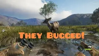 They Bugged!(The Hunter: call of the wild).