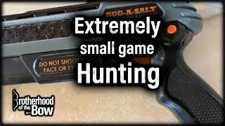 Bug-A-Salt || Extremely Small Game Hunting With A Salt Gun