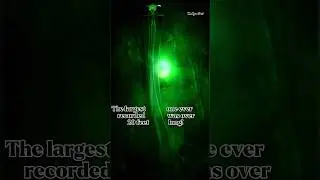 Scariest creature found in deep sea | Big Fin Squid | #deepseamysteries #Bigfinsquid