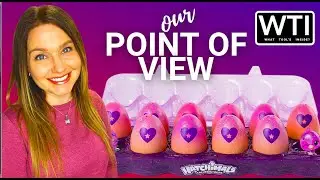 Our Point of View on Hatchimals CollEGGtibles Season 4 Set From Amazon