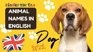 The Animals For Kids: English Vocabulary | Uk British English Pronunciation
