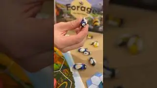 Today Forage the Bee game is hitting the table, first look #bgg #boardgames #kickstarter