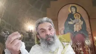 25.12.2025թ. Ցորենի սերմնահատիկը