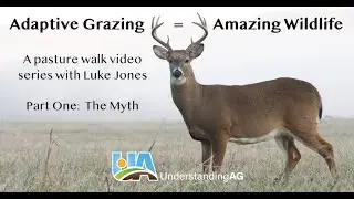 Adaptive Grazing = Amazing Wildlife - Part 1