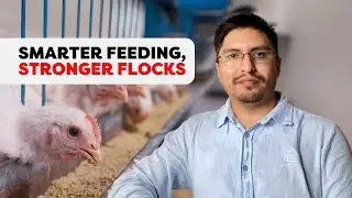 Precision Feeding Through Modeling in Poultry Operations - Dr. Rony Riveros