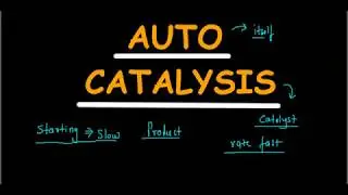 auto catalysis