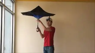 Inverted Umbrella