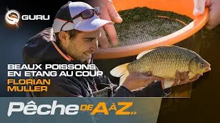 Pêche au coup des beaux poissons : Amorce & montage de ligne
