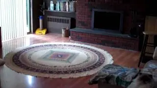 Home for sale in New Hyde Park, NY