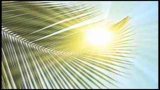 Open Your Heart - Guided Meditation on Generosity