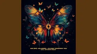 Flying Towards You (Extended Mix)